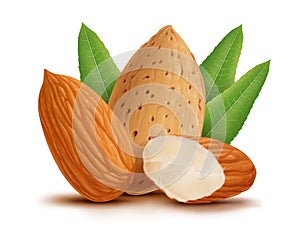 Almonds with leaves isolated on white background. Digital painting, illustration