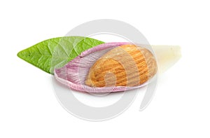 Almonds nut with leaf isolated