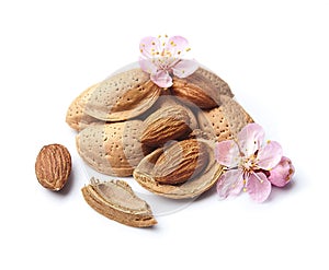 Almonds nuts with blooms almond