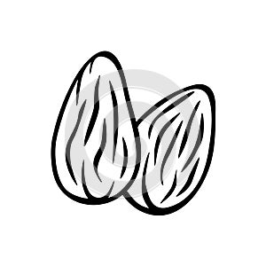 Almonds nuts isolated vector icon. Two almond nuts hand drawn illustration.