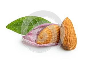 Almonds nuts with leaf isolated