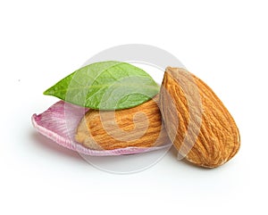 Almonds nuts with leaf isolated