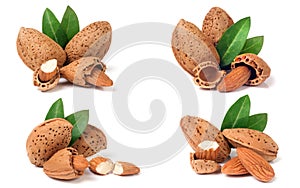 Almonds in their skins and peeled with leaf isolated on white background. Set or collection