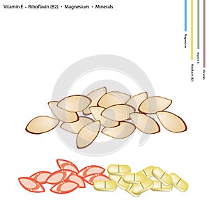 Almonds with Vitamin E, Riboflavin and Minerals