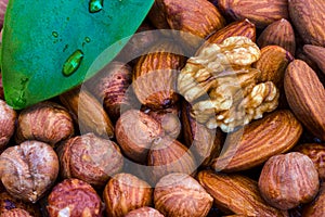 Almonds, walnuts and hazelnuts. Without shell. Cipherler leaf