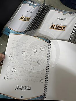 Almulk Catalog or Brochure Display Pages