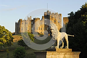 Alnwick Castle and the Lions B photo