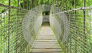 Alnwick wooden Treehouse, wooden and rope bridge within trees, Alnwick Garden, in the English county of Northumberland