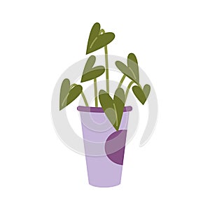 Alocasia or Philodendron, cartoon style. House plants for home interior, urban jungle. Trendy modern vector illustration