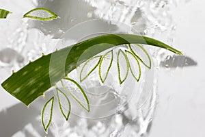 Aloe background, slices and leaves in moisturizing healing gel