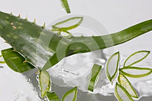 Aloe background, slices and leaves in moisturizing healing gel