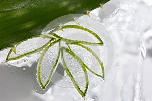 Aloe background, slices and leaves in moisturizing healing gel