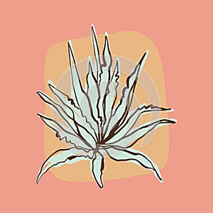 Aloe cactus art print hand drawn design.