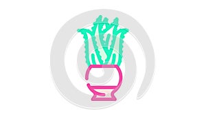 aloe domestic plant color icon animation