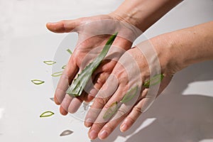 Aloe drops fall and moisturise the skin of female hands photo