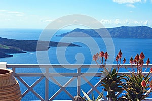 Aloe flowers on the terrace. Beautiful views of the sea and islands. Sunset. Greek travel. Santorini, Greece