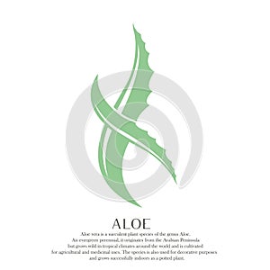 Aloe leaves vector logo abstract Sign. Medicinal aloevera green X letter logo Illustrator template.