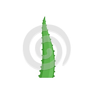 Aloe piece icon, flat style photo