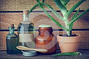 Aloe plant in pot, bottle of aloe vera essence and ointment. photo