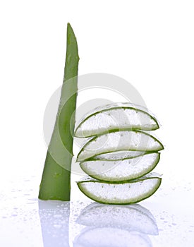 Aloe sliced, isolated on a white background