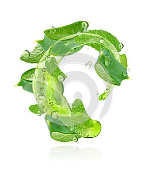 Aloe slices with mint leaves flowing with gel isolated on white background with clipping path.
