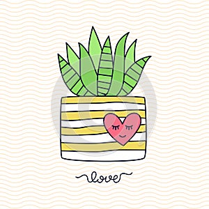 Aloe succulent flower pot vector illustration