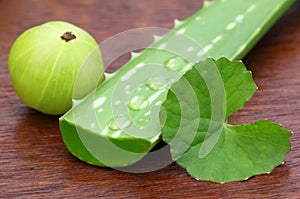 Aloe with thankuni leaves and amla