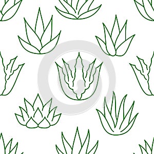 Aloe vera background, agave plant seamless pattern. Succulent wallpaper with line icons of aloevera leaves. Herbal
