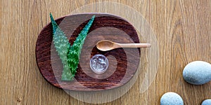 Aloe vera beauty remedy for green wellbeing and zen spa