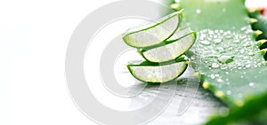 Aloe Vera closeup. Sliced Aloevera natural organic renewal cosmetics, alternative medicine. Organic Skin care concept