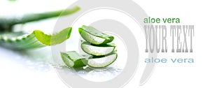 Aloe Vera closeup. Sliced Aloevera natural organic renewal cosmetics, alternative medicine. Organic skincare concept