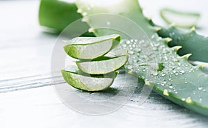 Aloe Vera closeup. Sliced Aloevera natural organic renewal cosmetics, alternative medicine. Organic skincare concept