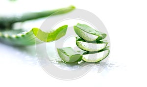 Aloe Vera closeup. Sliced Aloevera natural organic renewal cosmetics, alternative medicine. Organic skincare concept