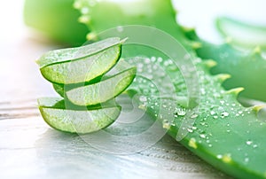 Aloe Vera closeup. Sliced Aloevera natural organic renewal cosmetics, alternative medicine. Organic skincare concept