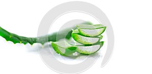 Aloe Vera closeup. Sliced Aloevera natural organic renewal cosmetics, alternative medicine. Organic skincare concept