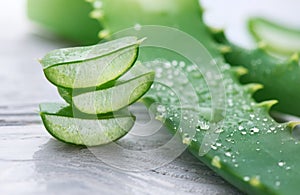 Aloe Vera closeup. Sliced Aloevera natural organic renewal cosmetics, alternative medicine. Organic skincare concept photo