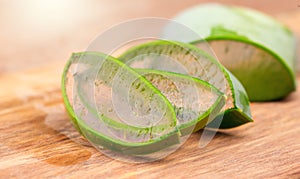 Aloe Vera closeup. Slices of Aloevera plant leaf, gel, natural organic renewal cosmetics, alternative medicine. Skin care concept