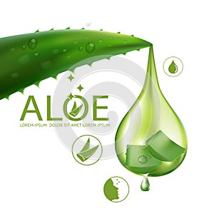 Aloe Vera collagen Serum Nature Skin Care Cosmetic Vector illustration