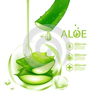 Aloe Vera collagen Serum Nature Skin Care Cosmetic Vector illustration
