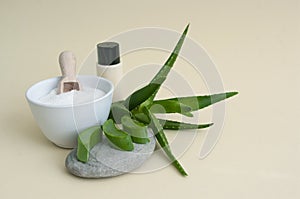 Aloe vera cosmetic products. Salt scrub, body cream, candle, aloe plant, slices on stone