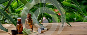 Aloe vera essential oil drips into the bottle from the stem