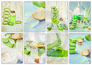 Aloe Vera extract in a small bottle and pieces on the table. Collage of many photos.