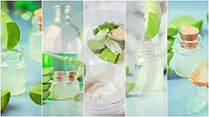 Aloe Vera extract in a small bottle and pieces on the table. Collage of many photos.