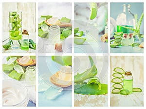 Aloe Vera extract in a small bottle and pieces on the table. Collage of many photos.