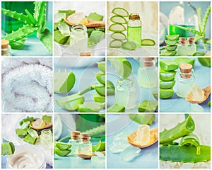 Aloe Vera extract in a small bottle and pieces on the table. Collage of many photos.