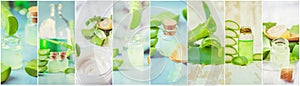 Aloe Vera extract in a small bottle and pieces on the table. Collage of many photos.