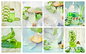 Aloe Vera extract in a small bottle and pieces on the table. Collage of many photos.