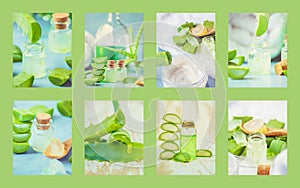 Aloe Vera extract in a small bottle and pieces on the table. Collage of many photos.