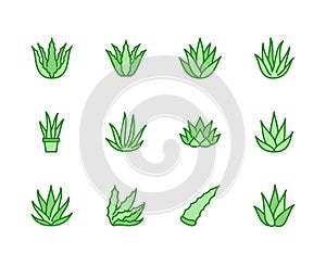 Aloe vera flat line icons. Succulent, tropical plant vector illustrations, thin signs for organic food, cosmetic. Pixel