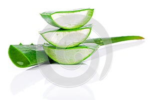 Aloe vera fresh leaf